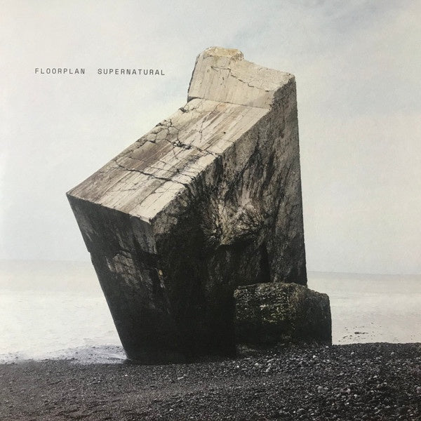 2019 Aus Music and K7 USA Vinyl - Detroit Techno / House - Floorplan's Supernatural Mint 2 LP Record Set