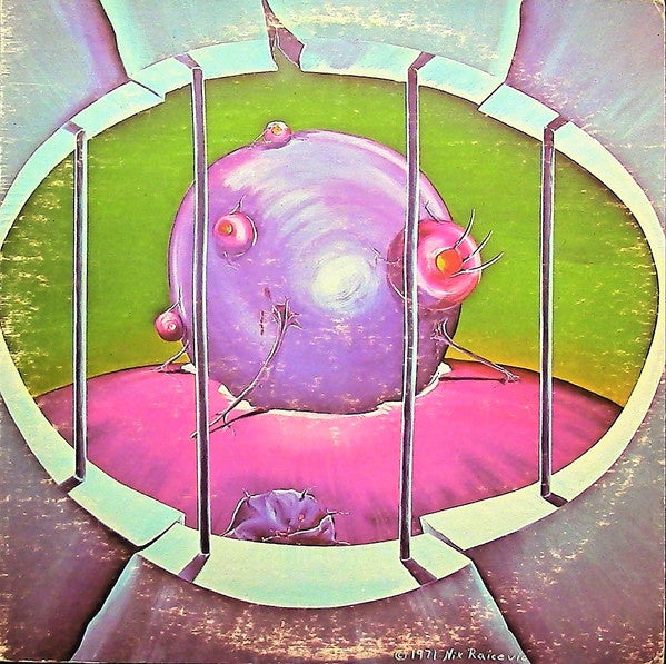 1971 US Narco Vinyl LP - Nik Raicevic's Electronic Experimental Ambient Album 'Beyond The End... Eternity'