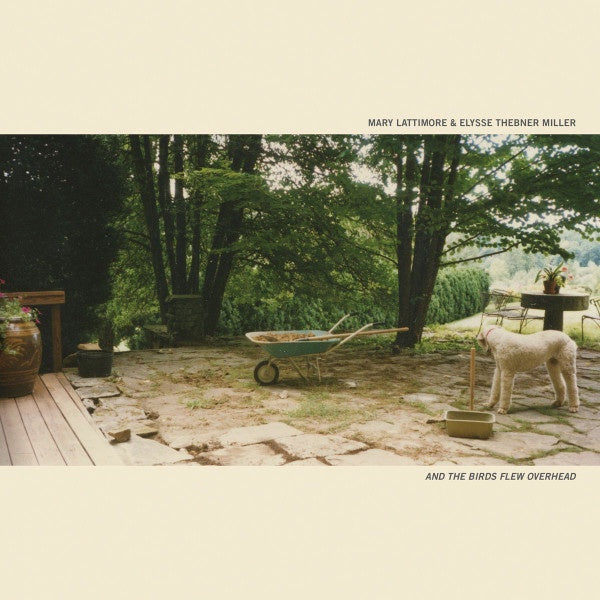 2017 Limited Edition Electronic / Ambient / Neo - Classical Mint LP Vinyl Record by Mary Lattimore and Elysse Thebner - And The Birds Flew Overhead from Footfalls USA