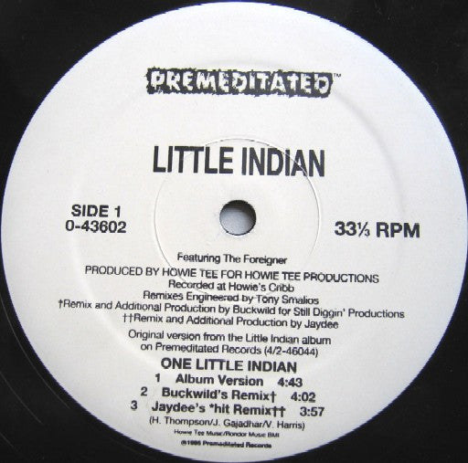 1995 USA Promo 12" Single Vinyl - Little Indian - One Little Indian Hip Hop Mint Record