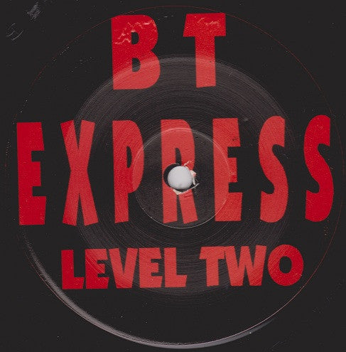 BT Express (Brian Tucker) - Level Two - A Premium VG+ LP Vinyl Record from 1995 Madhouse Test Pressing, Representing Chicago House Music Genre