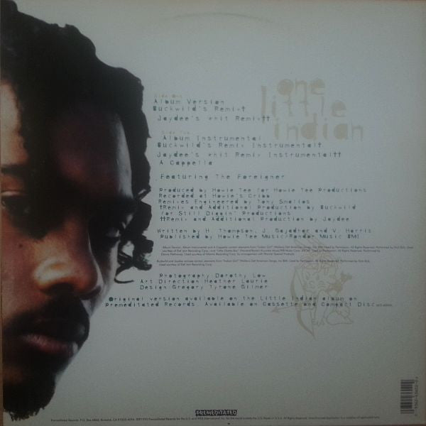 1995 USA Promo 12" Single Vinyl - Little Indian - One Little Indian Hip Hop Mint Record