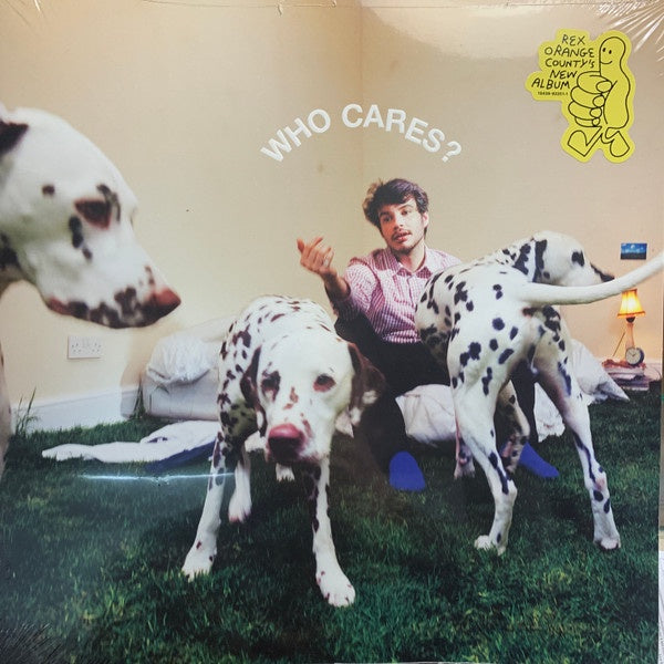 Rex Orange County's 2022 Mint-colored Limited Edition LP Record - 'Who Cares' from Sony Music with a Free Indie Pop Poster