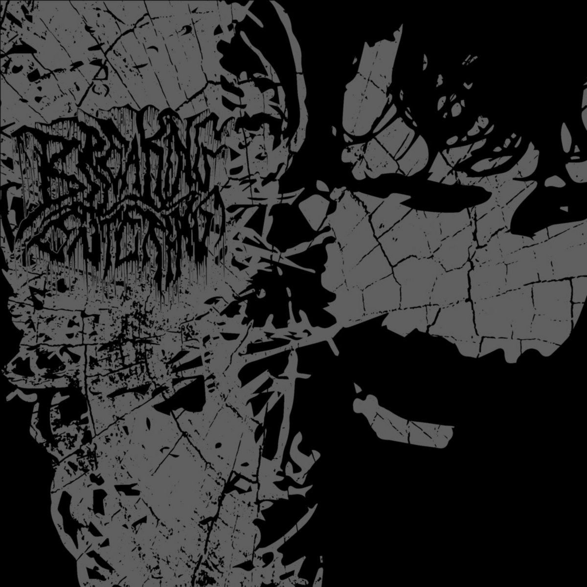 2022 Tape House New Hip Hop/Hardcore Cassette - BREAKING/ENTERING - EP II