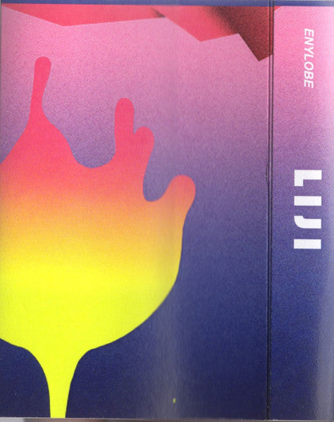 2016 Self - Released USA Green Limited Edition Electronic Vaporwave Cassette by Enylobe - Liji