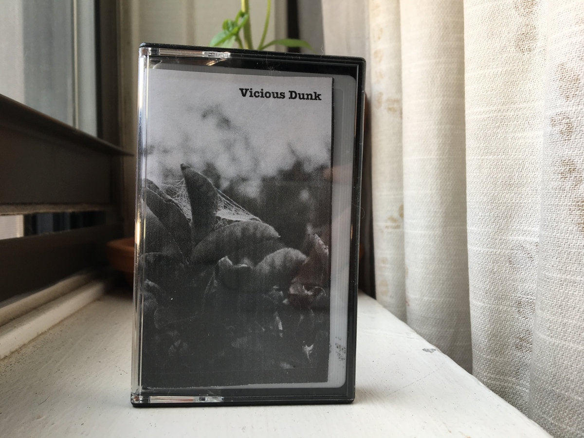 2019 USA Preserve Records Indie Rock Cassette - Vicious Dunk Tapes