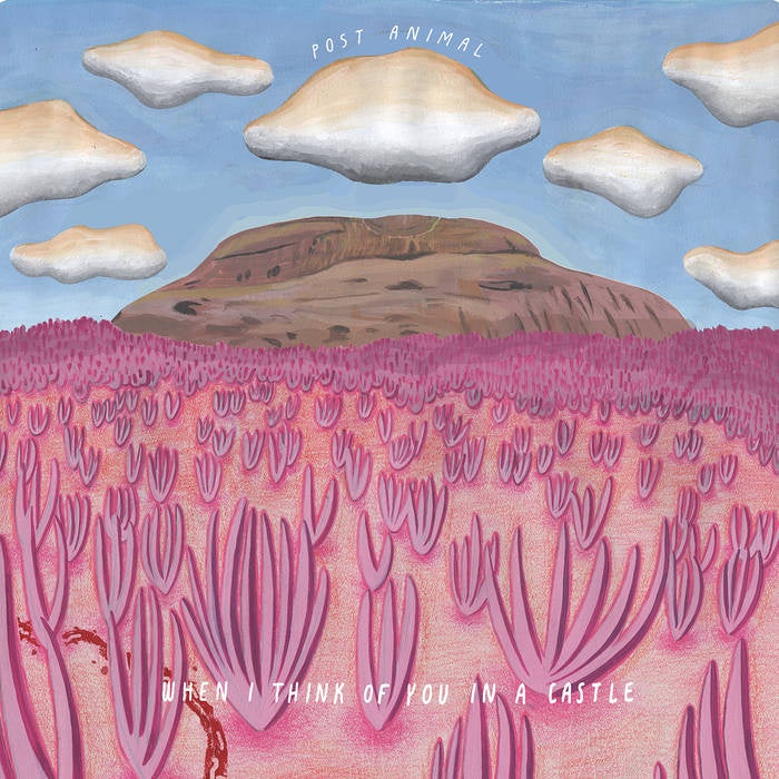 Post Animal's 2018 New Pink Polyvinyl Cassette Tape - When I Think Of You In A Castle with Download - Chicago, IL Pop-Psych and Rock Music Release