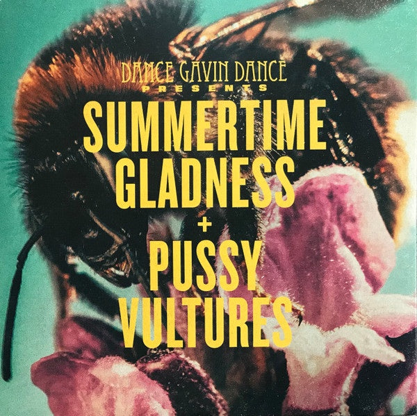 Dance Gavin Dance – Summertime Gladness/Pussy Vultures - Mint- 7 Single Record 2017 Rise USA 180 gram Vinyl - Math Rock / Hardcore