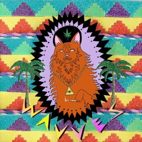 Wavves - King of the Beach - Mint Condition LP Record from 2010 by Fat Possum, Vinyl Album with Insert, Featuring Surf Rock and Psychedelic Rock Genres